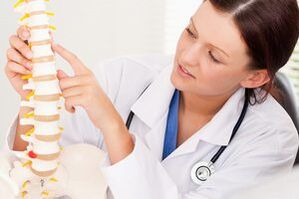 врач демонстрирует грудной остеохондроз на макете